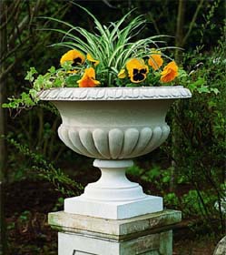 French Urn | Beyond The Veranda